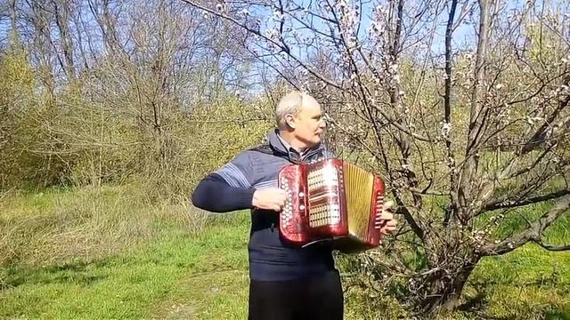 Володимир Щербаков на гармонi - Полька смотреть онлайн