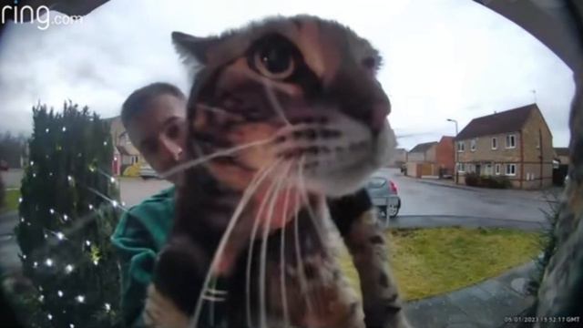 этот кот хочет сказать кое-что важное