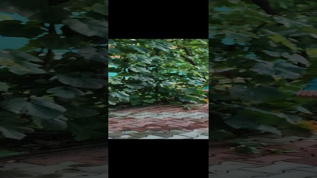 вип на мини бордюр