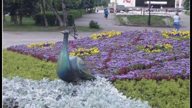 Слайд шоу Цветочные клумбы Липецка смотреть онлайн