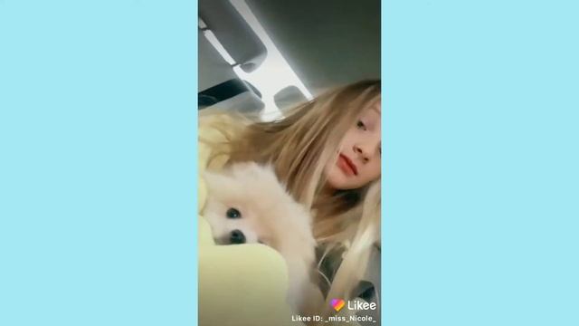 Видео Мисс Николь из Лайка. смотреть онлайн