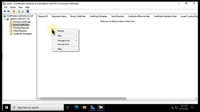 Active Directory Certificate Services Install & Config in just 20mins смотреть онлайн