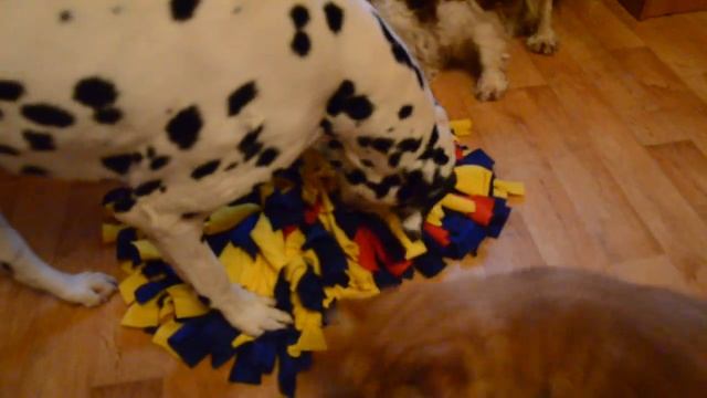 Нюхательный коврик смотреть онлайн