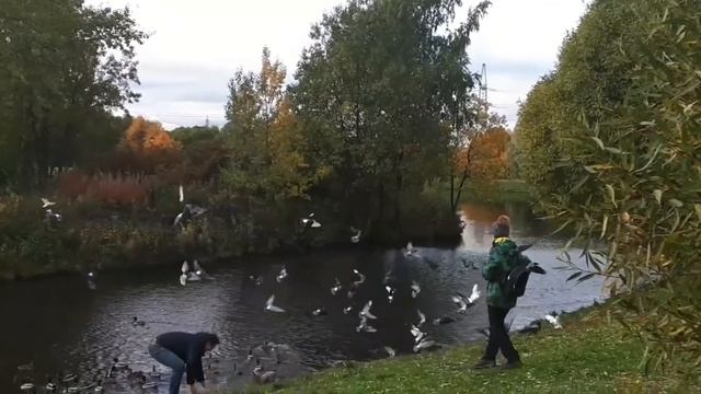 ✒Александр Блок? Есть игра #видеоMoyaMechta смотреть онлайн