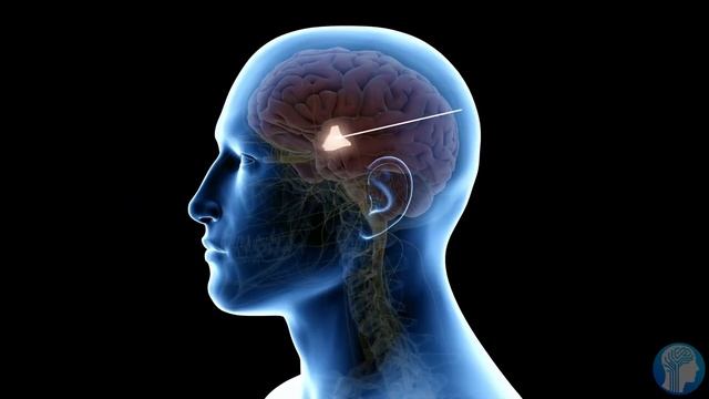 The Weird Future of Digital Immortality - AI-Preservation смотреть онлайн