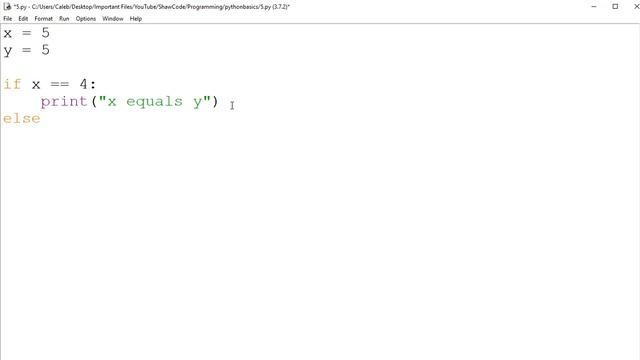 Python Programming Basics For Beginners #5 - If statements смотреть онлайн