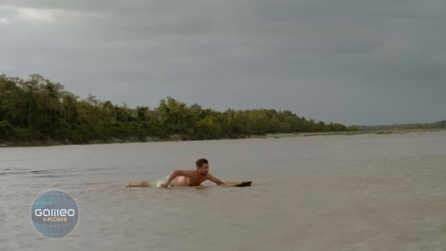 Das Geheimnis der Riesenwelle in Brasilien: Expedition durch Südamerika смотреть онлайн