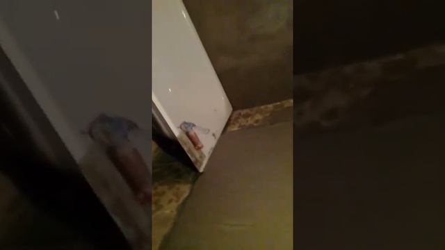 Осторожно! Подделка штукатурки Ротбанд. В чем отличие и проблема. смотреть онлайн