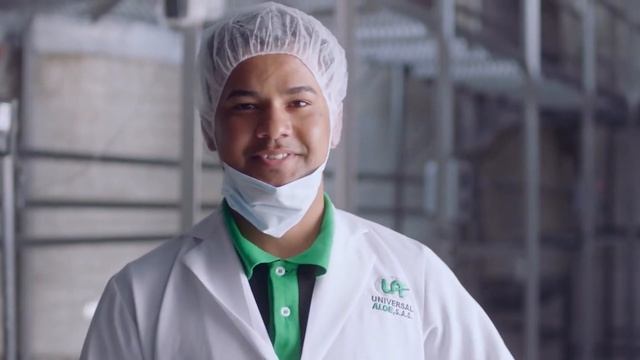 Чудо растение Алоэ Вера Барбаденсис Миллер смотреть онлайн