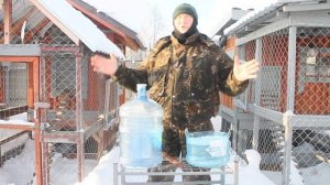 ЗИМНЯЯ, НЕ УБИВАЕМАЯ ПОИЛКА ДЛЯ КУР СВОИМИ РУКАМИ ЗА 5 МИНУТ.