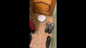 Женский обзор пылесоса Xiaomi Mi Robot Vacuum E10 | за 10800р, получается самый лучший?