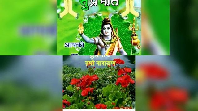 Chat Puja git смотреть онлайн