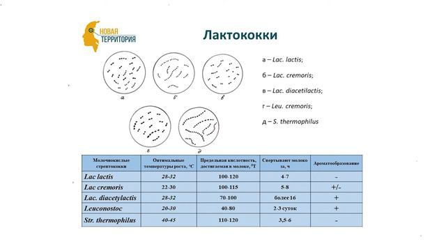 Живой продукт ЧАСТЬ 2 смотреть онлайн