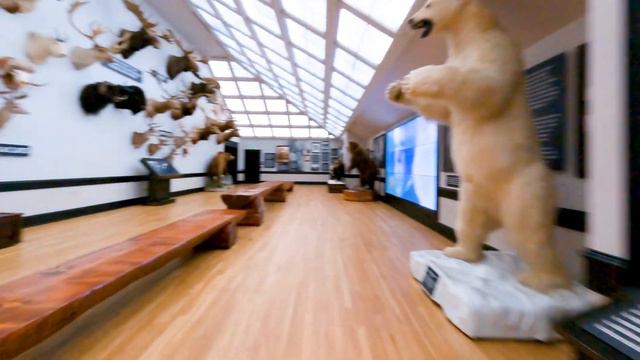 Johnny Morris' Wonders of Wildlife National Museum & Aquarium | 60 Second Commercial смотреть онлайн