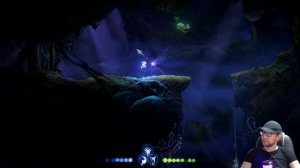 Прохождение Ori and the Will of the Wisps ( Ори и воля огоньков ) , часть 2