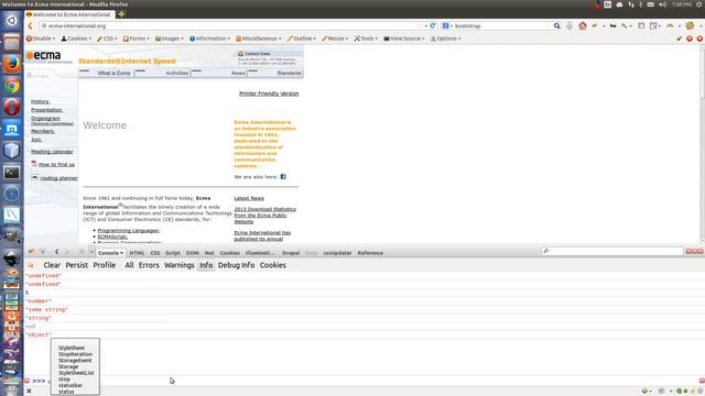 Demonstration of JavaScript Data Type Principles смотреть онлайн