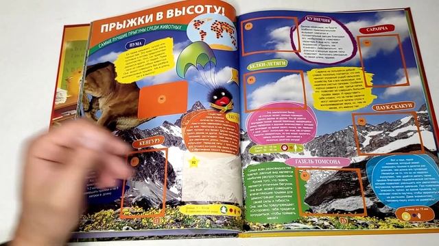PANINI Super Animals / Обзор альбома для наклеек. смотреть онлайн