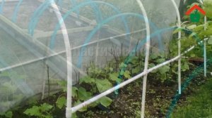 Парники из дуг с укрывным материалом – какие лучше купить дуги для парника