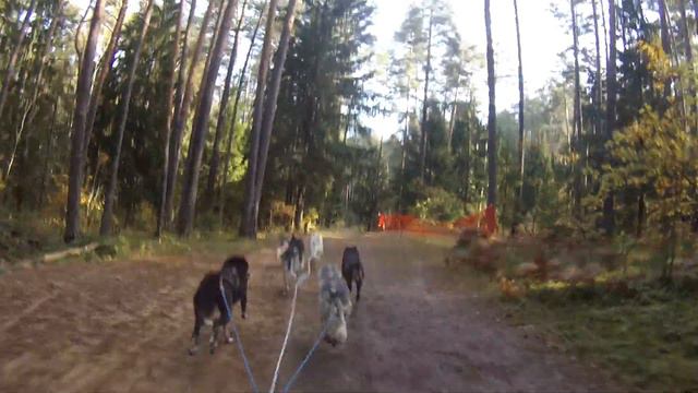 ЖЛ 6DR 1 1 место смотреть онлайн