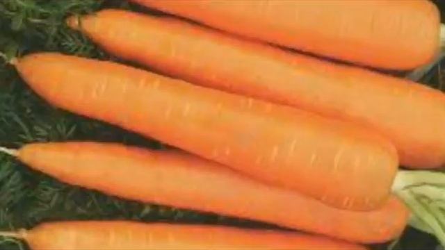 Почки. Эффективное лечение почек дома смотреть онлайн