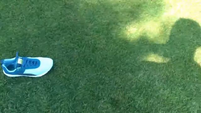 Когда можно ходить по газону смотреть онлайн