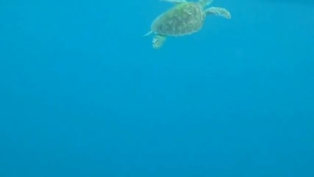 EL NIDO PALAWAN adventure 2015 (Tour A & C) Sony tx30 waterproof cam смотреть онлайн