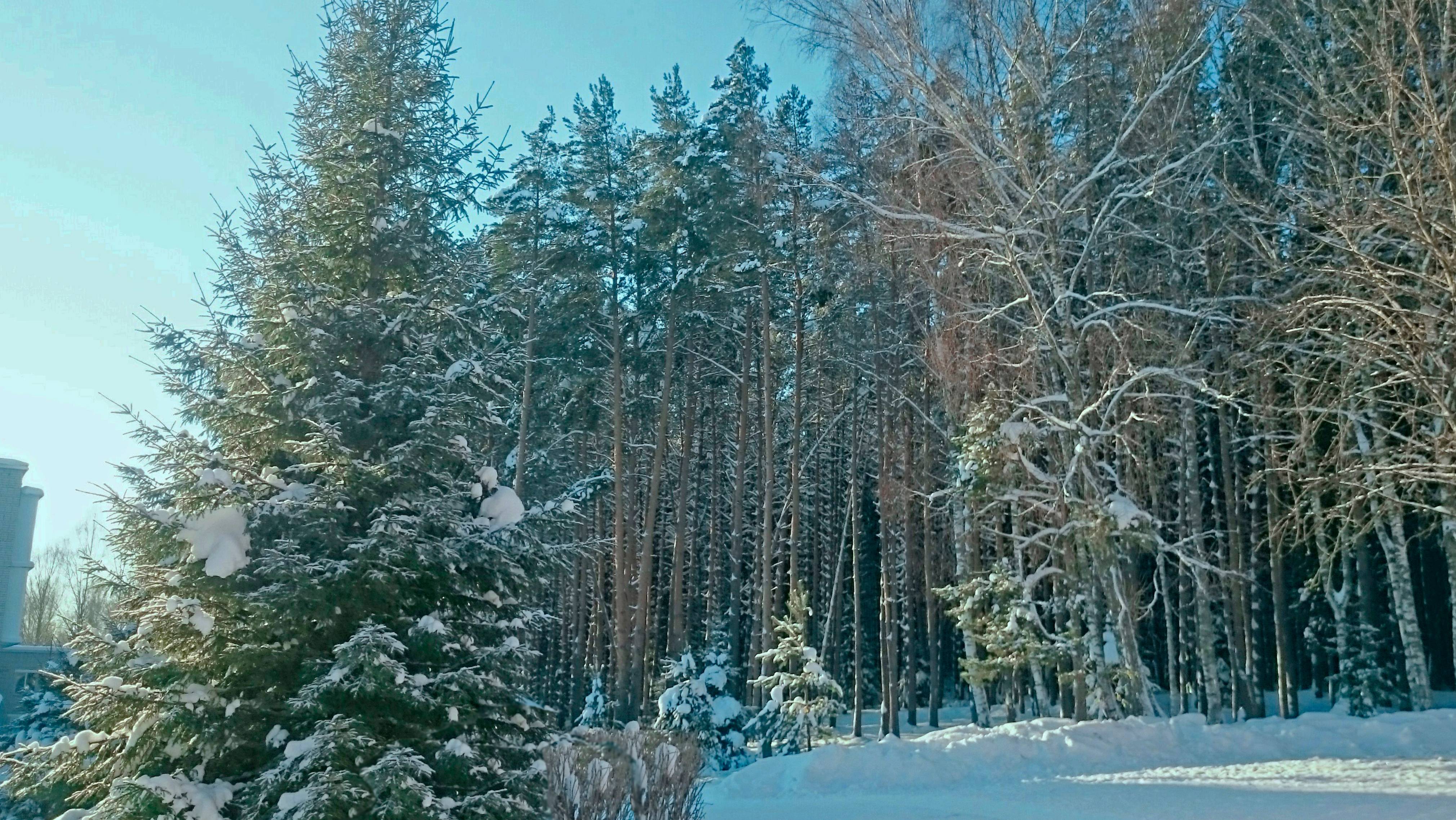 L'immensita - Travelling To Winter Tale