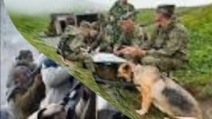 погран войска