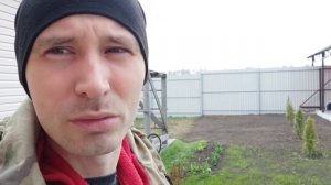 3 способа посадки газона: без трамбования и с трамбованием. Результат в следующем видео.