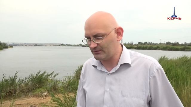 14 07 2017 СПАСЕНИЕ ДЕЛЬФИНА