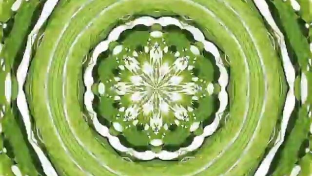 Флора. Наземные растения смотреть онлайн