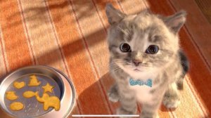 Little Kitten My Favorite Cat Pet Care -  Play Fun Cute Kitten Care Games For Kids Toddler  #147