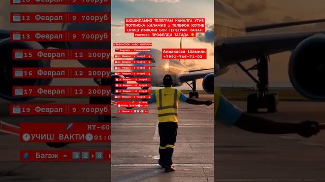 УЗБЕКИСТОН ХАВО ЙУЛЛАРИ🇷🇺 Внукова - Самарканд🇺🇿🗓✈️   HY-606 🧳 Багаж = 3⃣2⃣+8⃣ кг #рекомендации смотреть онлайн