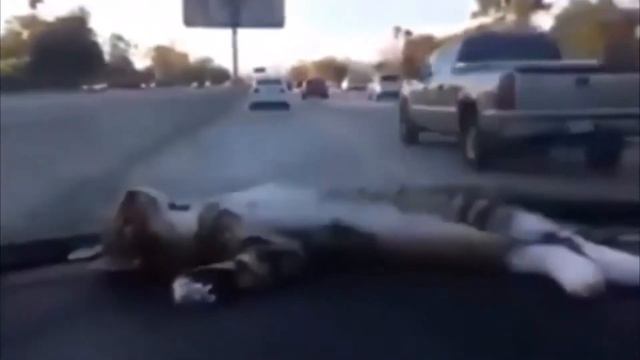 Как быстро и качественно отмыть салон автомобиля? смотрите в этом видео! Приколы) смотреть онлайн