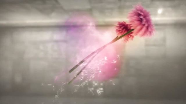 PARADYZ - YOUR CHOICE OF BEAUTY смотреть онлайн