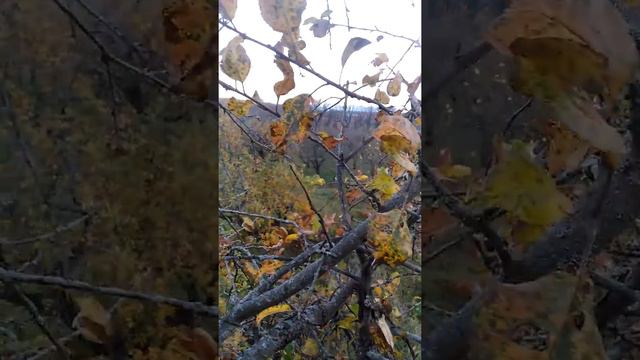Дивлюсь я на небо смотреть онлайн