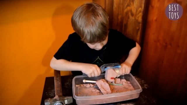 Находка века, раскопки мамонта, Археологический набор - Откопай мамонта смотреть онлайн