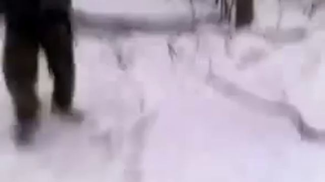 ПРикол смотреть онлайн