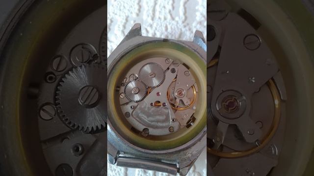 Чайка стадион смотреть онлайн