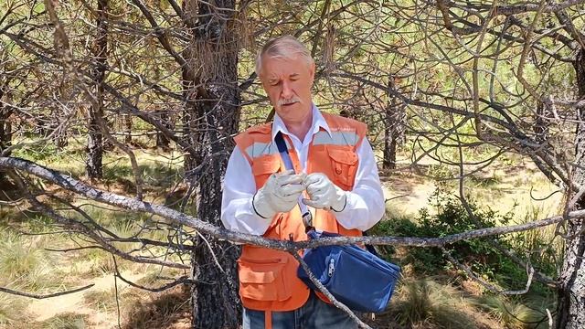 Может ли георадар обнаружить клад? Найти золотую россыпь? Определить тип металла? Отзыв смотреть онлайн