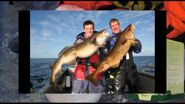fish drive активатора клева смотреть онлайн