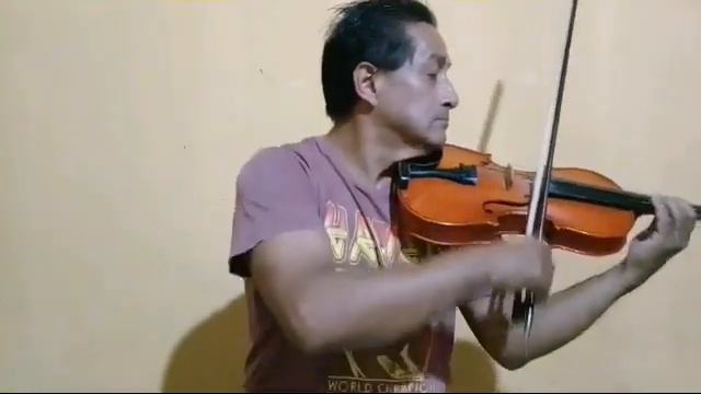 Historia de un amor - violin Luis Pillajo