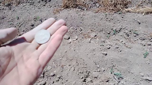 Три копеек 1899 года. Металлоискатель Нокта Макро симплекс+ смотреть онлайн