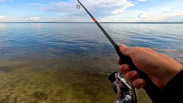 ЛОВЛЯ СУДАКА НА СПИННИНГ с берега. Река Волга шириной 11 км!!! май 2023. смотреть онлайн