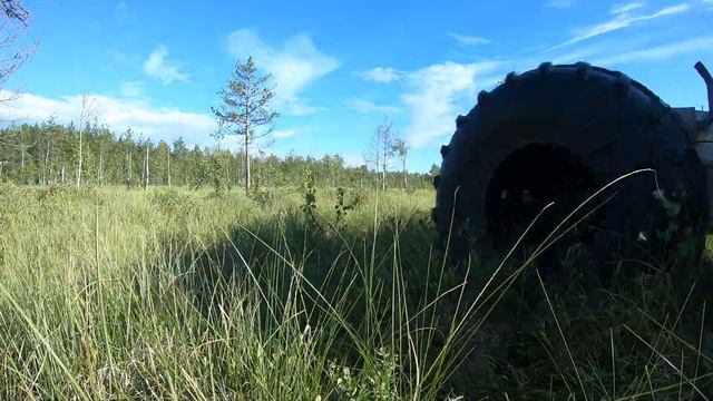 ВЕЗДЕХОД /ДИКИЙ/СКОРОСТЬ ПО КОВРОВОМУ БОЛОТУ смотреть онлайн
