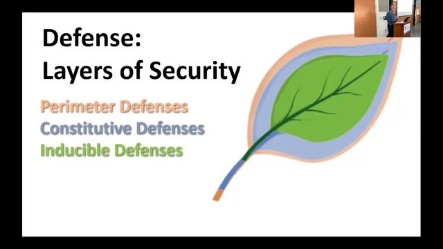 Hybrid Lunchbox Talk: A Gardener's Guide To Botany смотреть онлайн