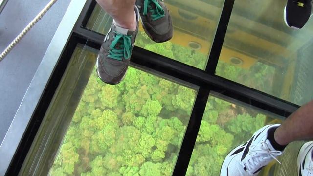 Scenic Skyway смотреть онлайн