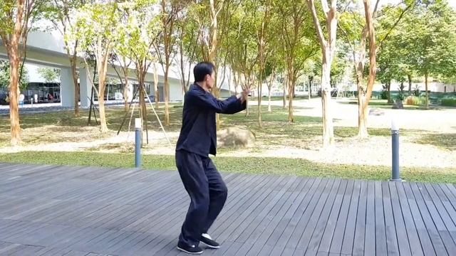 Sun Style Bagua Series Part 1: Main Palms and Changing Palms demo 孫氏八卦系列 1: 正掌與變掌示範 смотреть онлайн