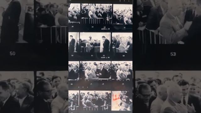 Выставка Эллиотта Эрвитта в Париже смотреть онлайн