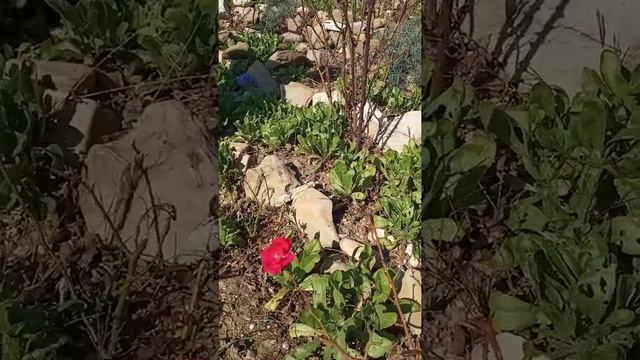 Стоял Ноябрь у двора.. А тут вон что)) смотреть онлайн